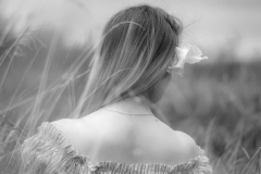 Artistiek in het veld