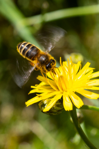 KFAK-2020-07-25-0014