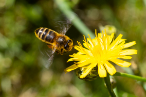 KFAK-2020-07-25-0016