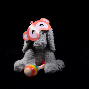 In plaats van kinderen betreft dit een serie portretten van hun favoriete knuffelbeest die aan het spelen is.