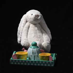 In plaats van kinderen betreft dit een serie portretten van hun favoriete knuffelbeest die aan het spelen is.