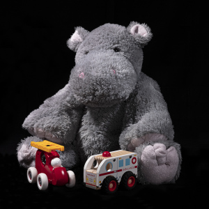 In plaats van kinderen betreft dit een serie portretten van hun favoriete knuffelbeest die aan het spelen is.